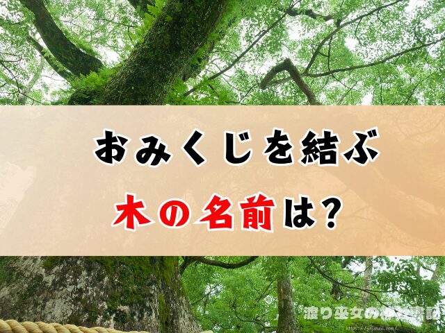 おみくじ 結ぶ木の名前 なぜ結ぶ 理由 意味